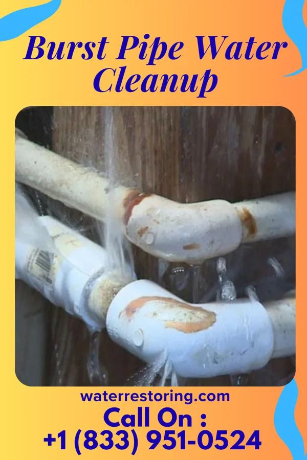 Burst Pipe Water Cleanup in Calcutta, OH