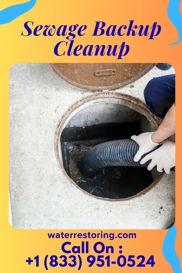 Sewage Backup Cleanup in Calcutta, OH
