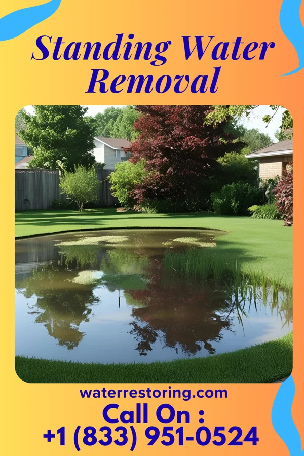 Standing Water Removal in Calcutta, OH